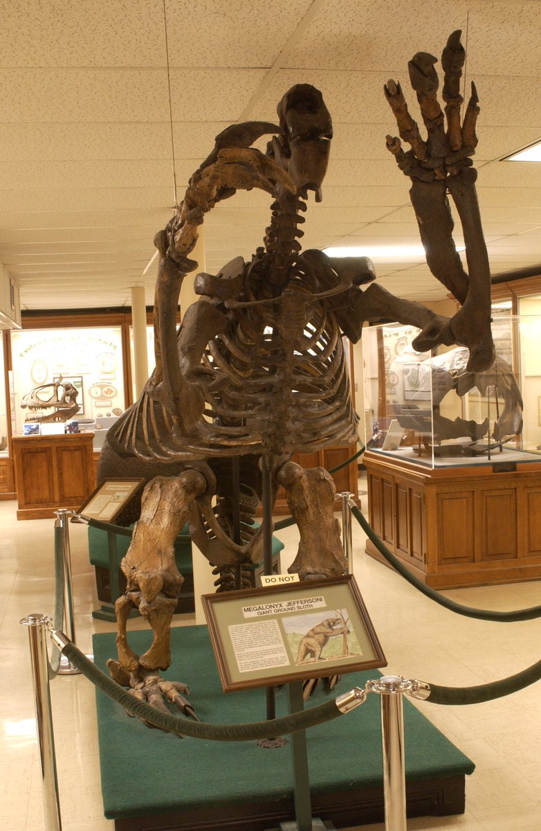 Prescott Vayda tweet media