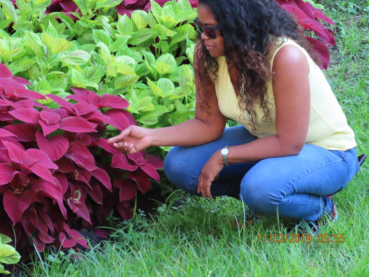 A #healthy appreciation for nature.. . . #permaculturedesign #healthyfood #homestead #healthylifestyle #cleansing #protein #gardening #foodie #foodsecurity #foodforest #sustainableliving #sustainability #fruitforest #fruitarian #fruitsalad #environment