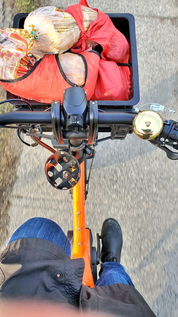  #Bike365 day 48: grocery run on the  @ternbicycles  #GSD, 3km. As long as I use one of the small carts, it all fits in the bags & basket, then I don't need extra bungees.  #Quaxing  #IBikeIBuy  #CarFreeFamily