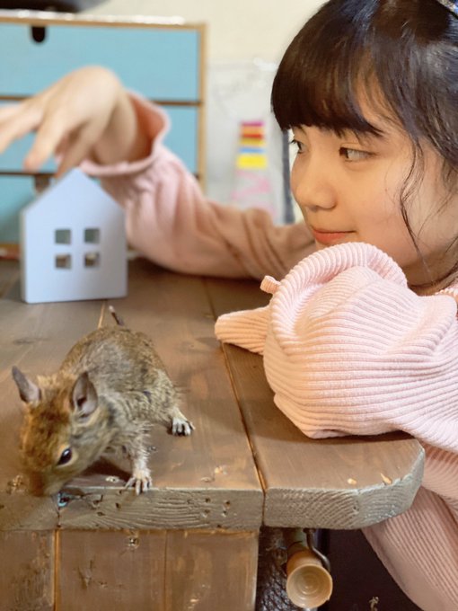 Twitterのコスプレ画像22