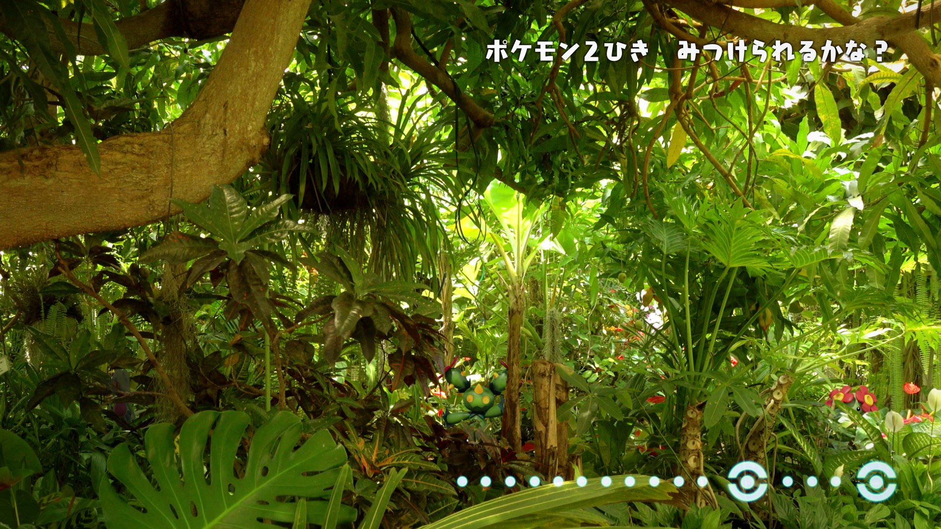 公式 ポケモン情報局 ポケモンどこかな 実は ポケモン が2匹ではなく 3匹隠れているみたいです 見つけられた方は教えてください ポケモンkidstv T Co Tapumkjhaa T Co 0eocxqb6i9 Twitter