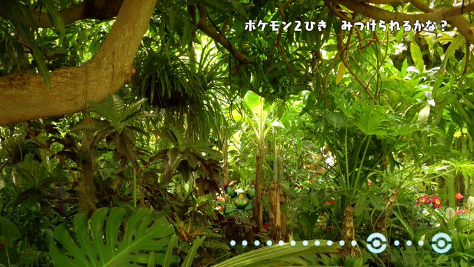 ポケモン あなたは見つけられるかな 森に隠れたポケモンを探し出すミニゲーム ポケモンどこかな が話題 アニメ アニメ