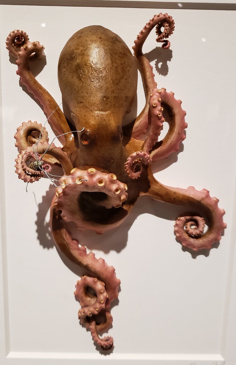 scmills100's tweet photo. My photos don't do justice to the amazing #ExquisiteCreatures exhibit @OMSI that closed today. #Oregon naturalist & artist #ChristopherMarley preserved reclaimed insects & bugs, reptiles, fish & more & created beautiful art. If this fascinating show comes to yr city, you must go. https://t.co/g1St4iqOWL
