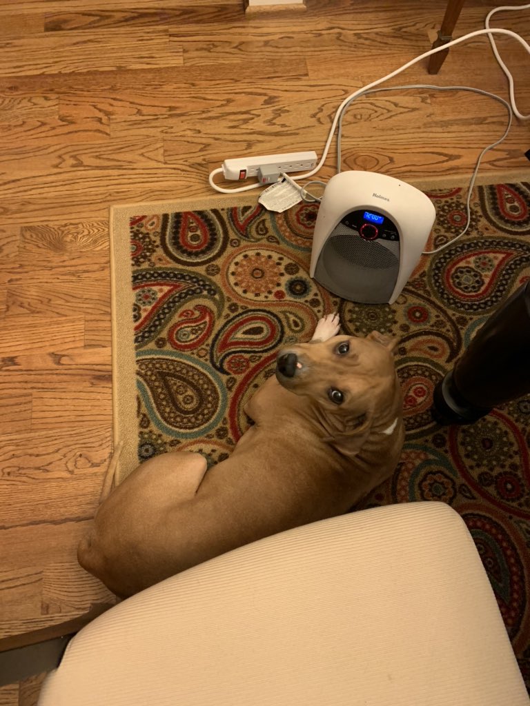 syntax_ofthings's tweet image. Mia is my handy dandy space-heater locator.