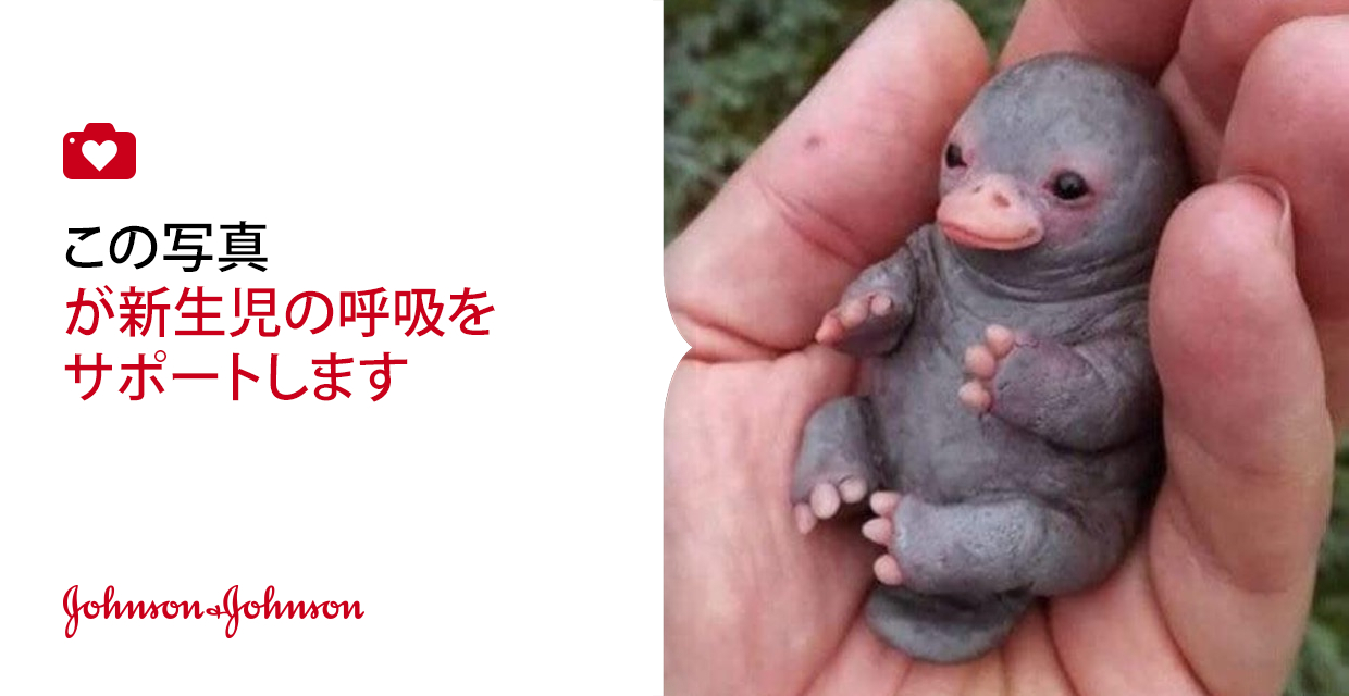 猫の神様 カモノハシの赤ちゃん 宇宙人みたいです Jnj Donateaphoto Changinghumanhealth T Co Wjog6s92ao T Co Kbrgyhb3sm Twitter