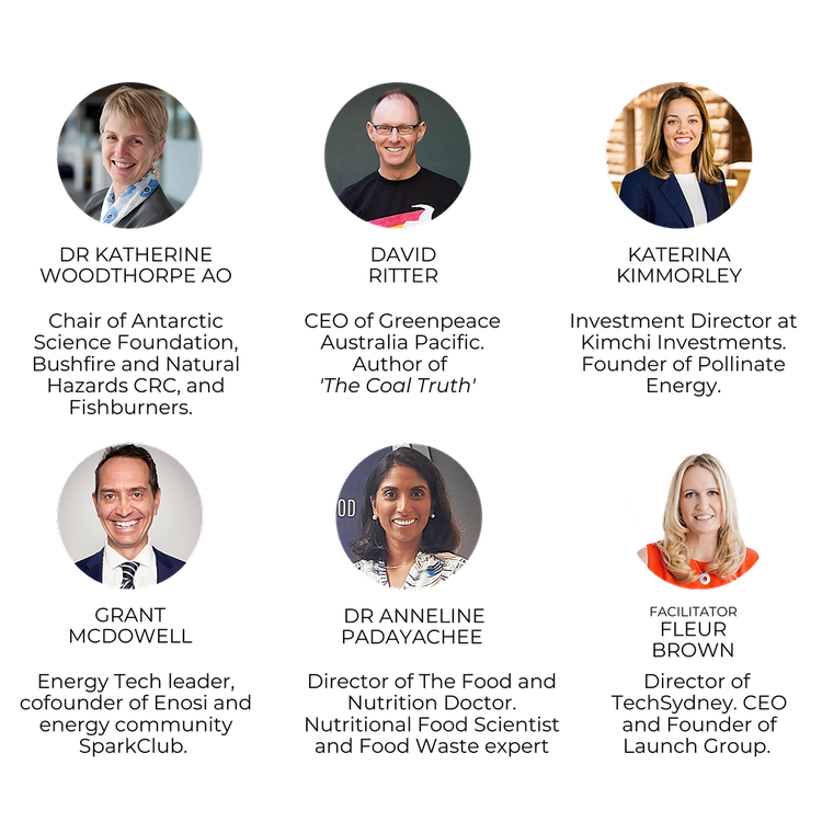 Nicky Williamson 🌏✈️💛💚 tweet media