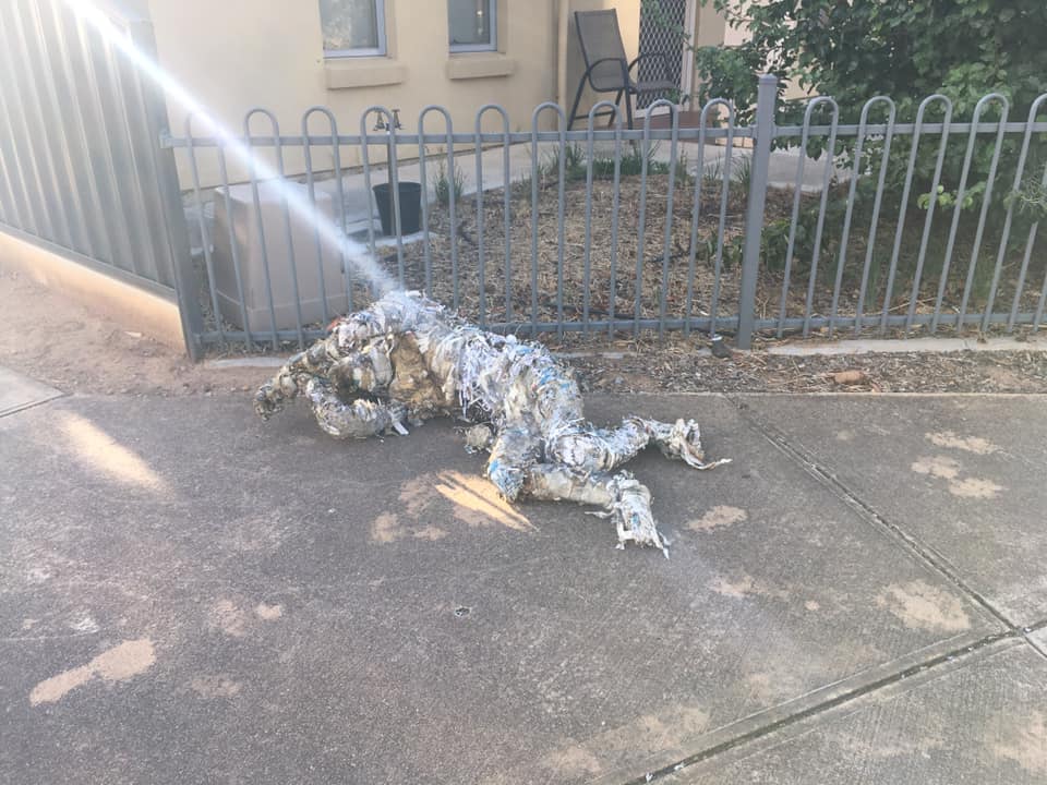 GordonlKnight's tweet photo. Have I found Adelaide 's most creepy Leafy? #Leafies #Leafy https://t.co/5WZxYAd6ec