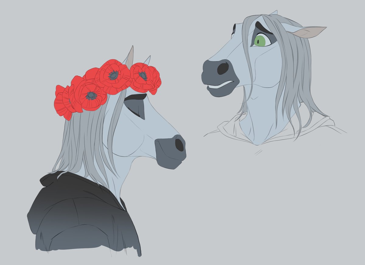 _melloque's tweet image. Horsie ❤️