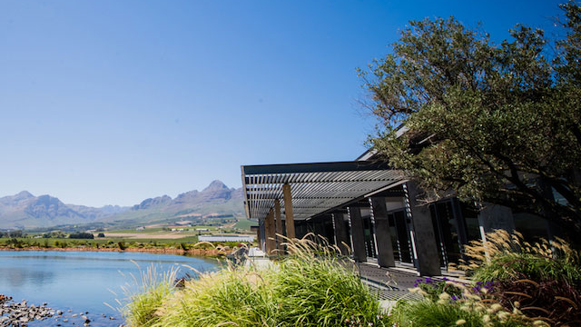 Pixel Up! tweet media