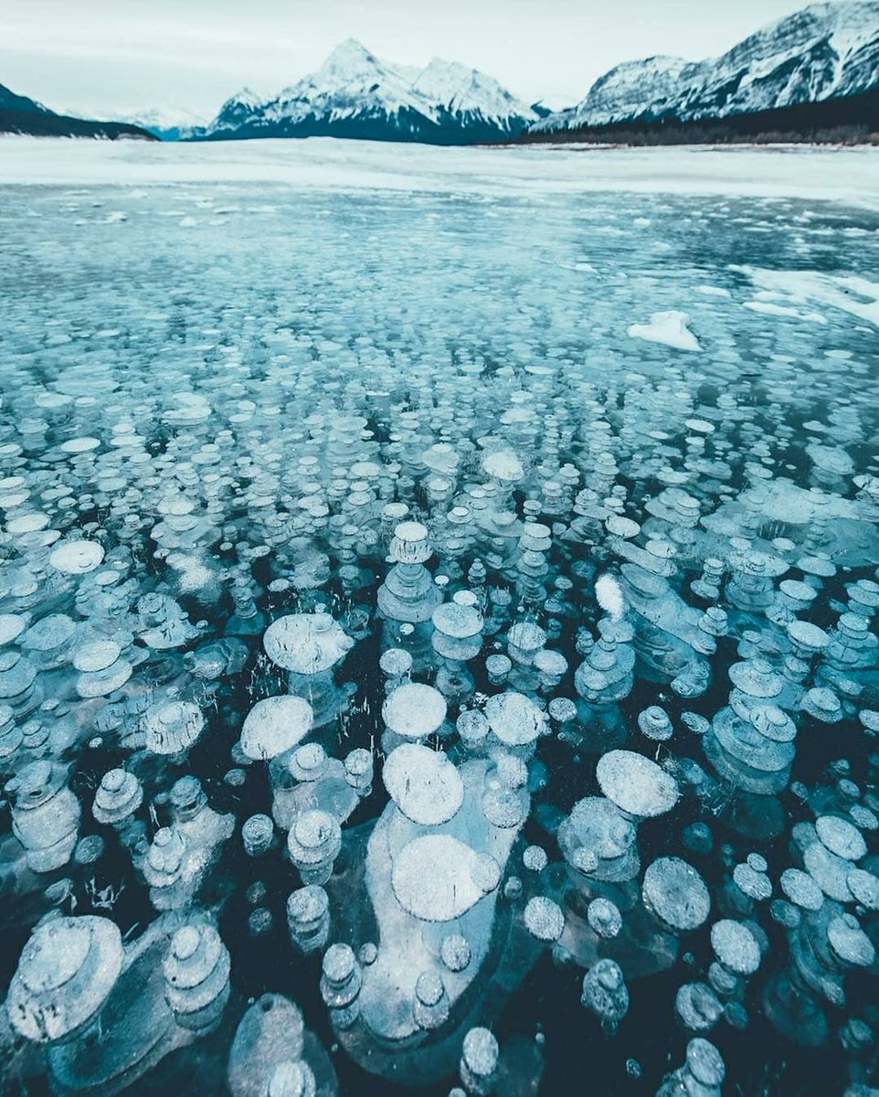 DreamMaker (@dreammakerexp) on Twitter photo Ice bubbles in Abraham Lake are truly one of the natural wonders
#Alberta, #Canada
Please visit HouseofDreamMaker.com and follow <a href="/dreammakerexp/">DreamMaker</a> #NeverToBeRepeatedDesigns
#HouseofDreamMaker
by <a href="/Lennart/">Lennart Ericson</a> Ice bubbles in Abraham Lake are truly one of the natural wonders
#Alberta, #Canada
Please visit HouseofDreamMaker.com and follow <a href="/dreammakerexp/">DreamMaker</a> #NeverToBeRepeatedDesigns
#HouseofDreamMaker
by <a href="/Lennart/">Lennart Ericson</a>
