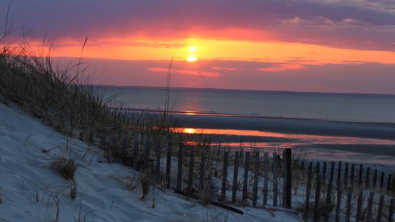 The Art Of Versatility tweet media