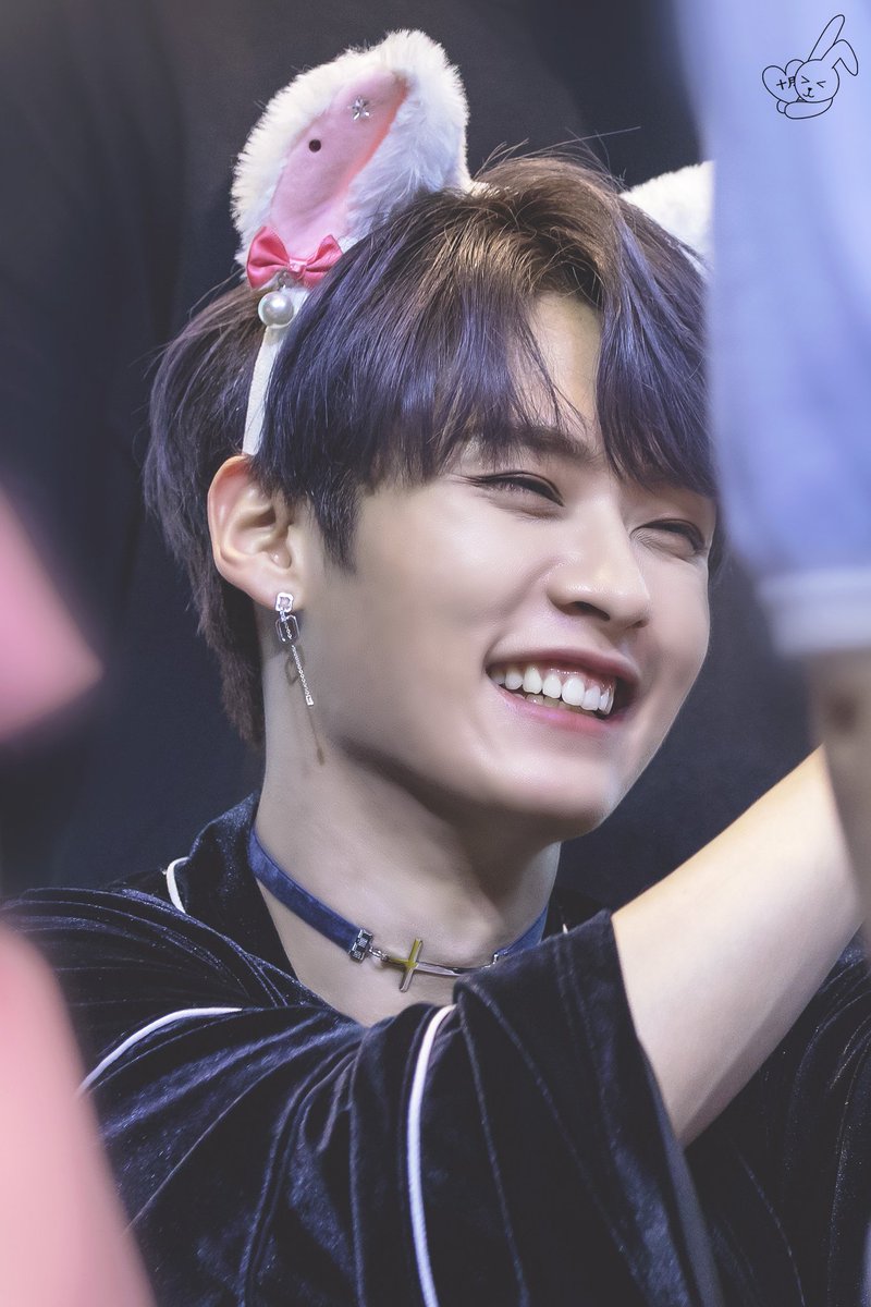 【Stray Kids】リノはうさぎ?猫?本人に聞いてみたらまさかの結果に..!