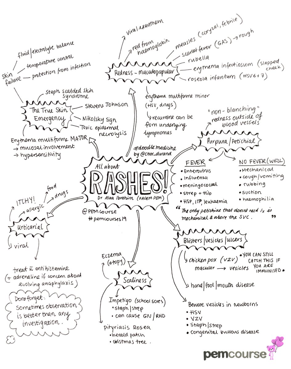 PemCourses's tweet photo. Spots, dots, red, white and purple. It's all about rashes at #PEMcourse20 with @alaanibrahim More great graphics from @char_durand #FOAMed #FOAMped https://t.co/rhvpdi1nA4