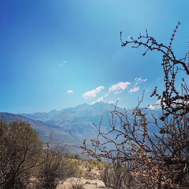 The Maipo Valley - where they are currently digging out the river to install a hydroelectric pipeline to power... a mining operation. 😢 ift.tt/322Vd6B