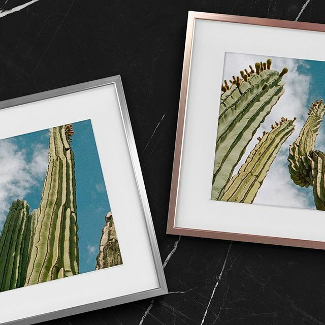 TinyMightyFrms's tweet image. Are you more of a Rose Gold or Silver metal frame type of person? Tell us in the comments! 👇 #TinyMightyFrames •
•
•
•
•
#decor #homedecor #decoration #homedesign #interiors #homesweethome #instahome #homestyle #interiordecor #interiorstyling #in… bit.ly/3bKLPcj