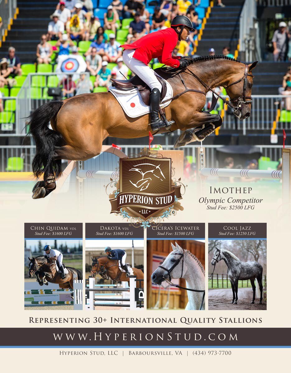 Breeding season is upon us! Robust groups of stallions offered with many as a FRESH semen option! Check it out! hyperionstud.com/the-stallions-…