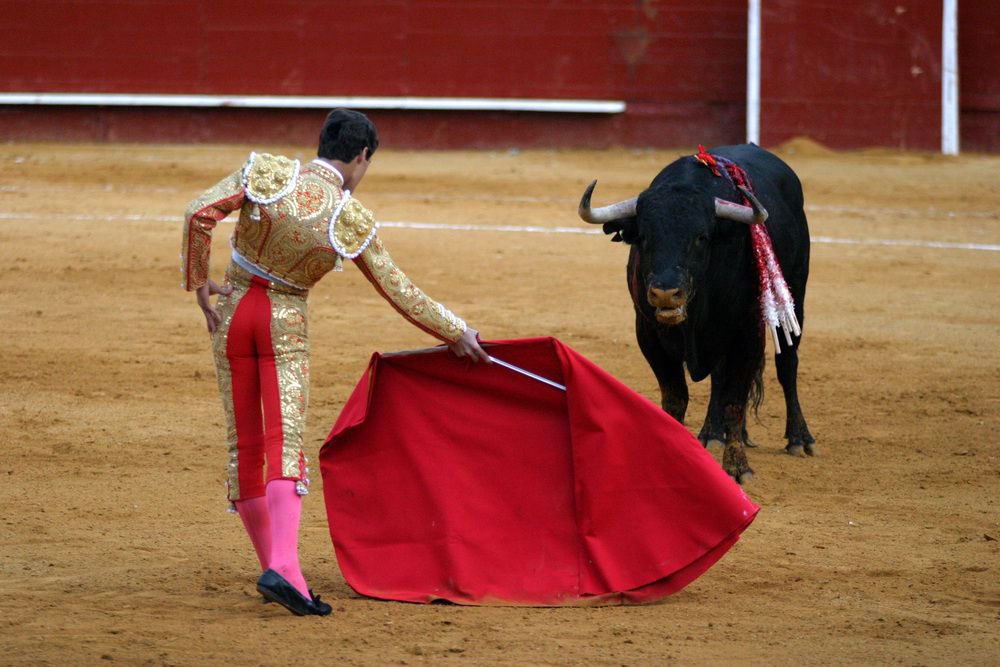 ROBrien12's tweet photo. Peter charging towards every red flag he sees #TheBachelor https://t.co/x8NvR2yFSq
