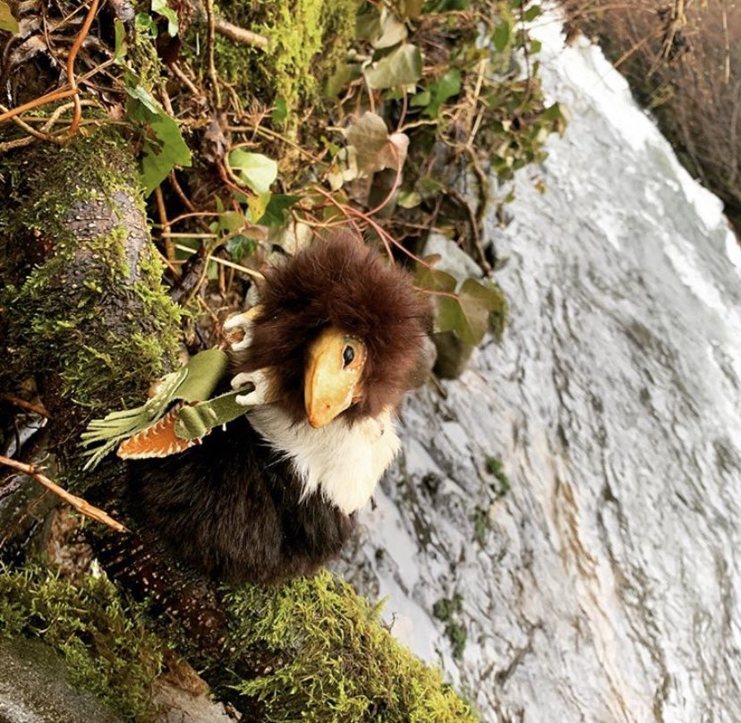 QuinnAndBloom's tweet photo. When the rain finally stops and the pale sunlight catches fat droplets clinging to moss and bark, Fenn comes out to wander. They are adventurous, yet are drawn to the quiet moments...the enchanted in-between.  
#quinnandbloom #dustling https://t.co/JSAB8MksSv