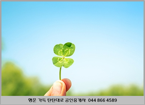 sejong88's tweet photo. 임대아파트 조기 분양전환 아파트 양도시 양도소득세는?https://t.co/vgQdVsKX3x https://t.co/X0gG5JUsV0