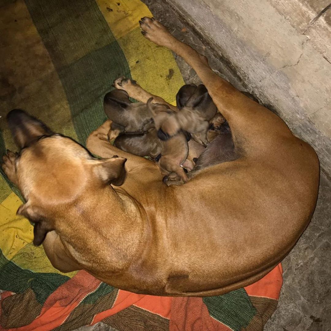 BlackwellAlex4's tweet photo. Mother is very important to a child...☺️☺️☺️☺️ https://t.co/26qsIUSsXG