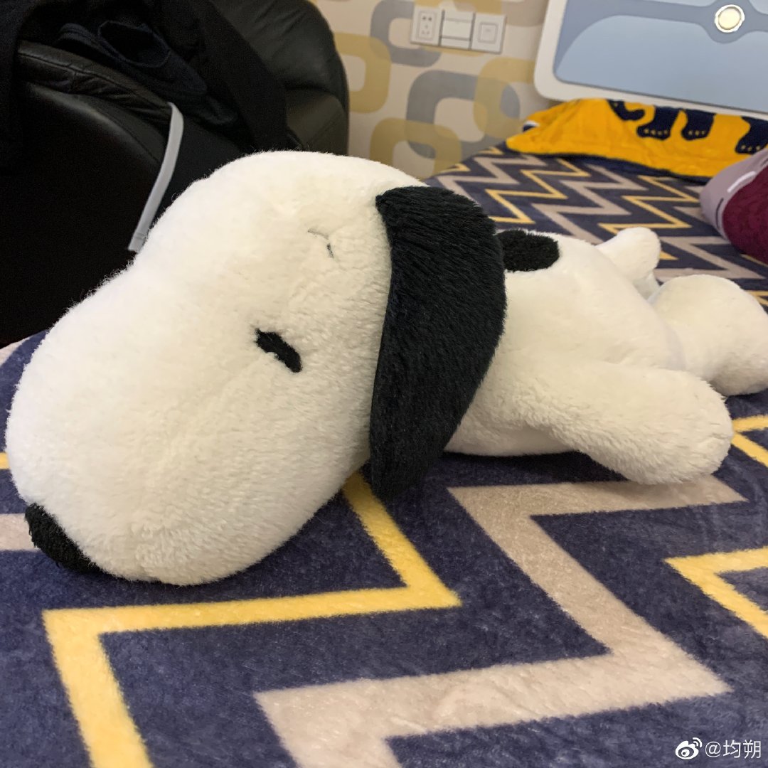 Panda and snoopy  this is  Xujunshuo thread   for the love of 