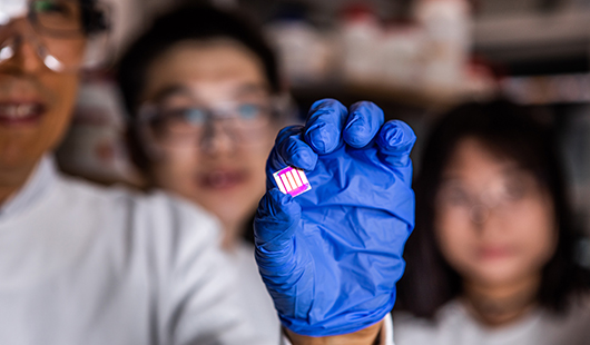 UQ_News's tweet photo. Sunshine on a cloudy day..

#UQ researchers have developed the next generation of solar power technology that could produce energy even when it's cloudy and wet.  @UQ_EAIT
@AIBNatUQ @arc_gov_au

Read more on UQ News - https://t.co/UEppblILAm https://t.co/fqh0WAK9Ev
