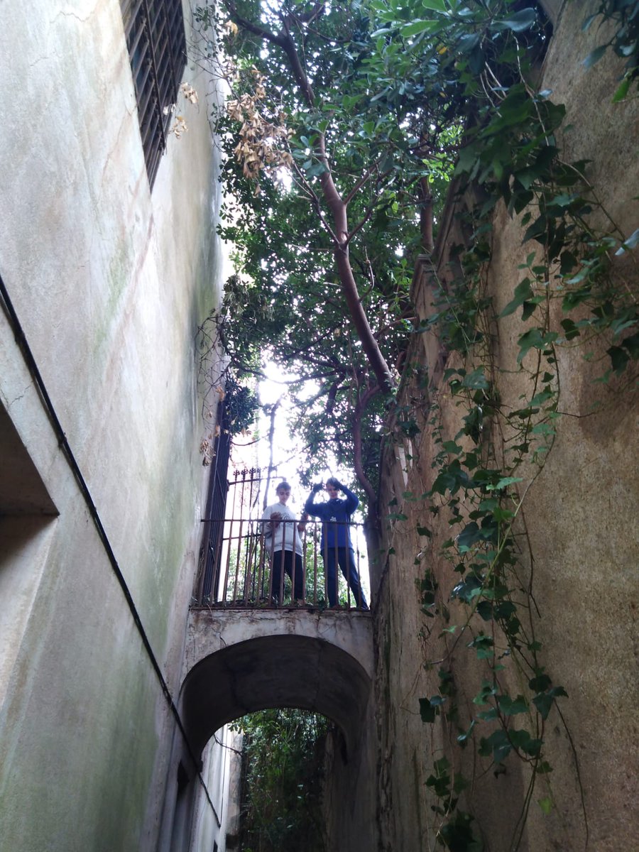 Els R/NG guies vam anar a fer una descoberta a <a href="/lagaietana/">La Gaietana #ResistènciaOberta</a> on ens van explicar el seu projecte i on vam poder participar fent servei. Molt agraïts per haver sigut partícips d'aquest espai, de l'aprenentatge que hem extret i de l'acollida que vam rebre. #RecuperemlaGaietana