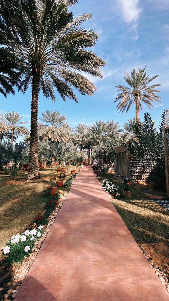 متعب | AlUla tweet media