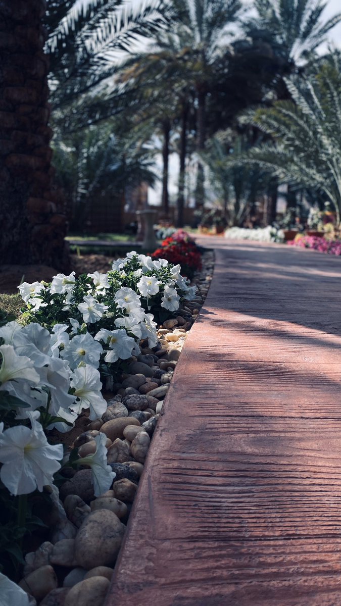 متعب | AlUla tweet media