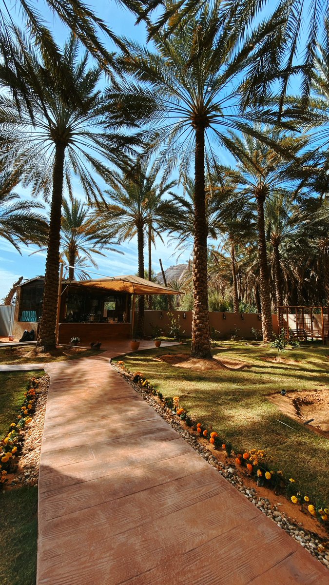 متعب | AlUla tweet media