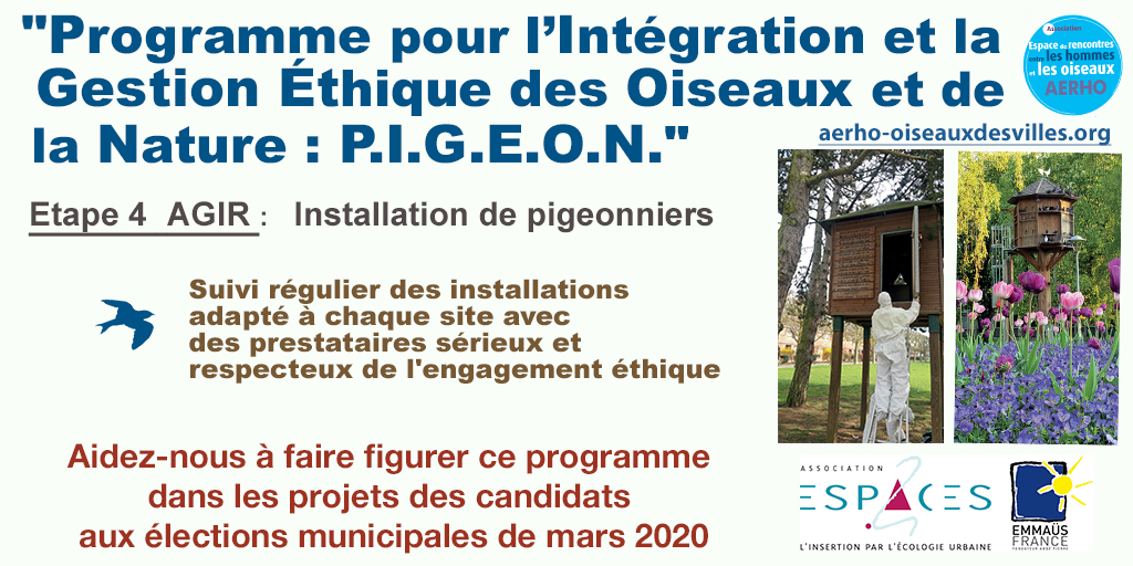 Découvrez le programme P.I.G.E.O.N « Programme pour l’Intégration et la Gestion Ethique des Oiseaux et de la Nature » d’AERHO et notre partenaire l’Association EspaceS. aerho-oiseauxdesvilles.org <a href="/aerhooiseaux/">aerhooiseaux</a> #despigeonsdanslaville