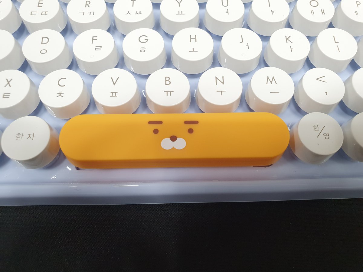 컴우리 tweet media