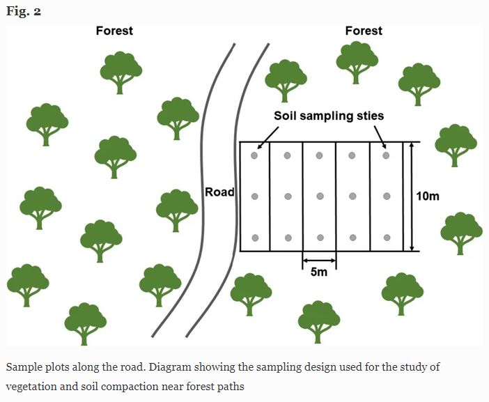 SpringerPlants's tweet photo. Quantifying the effects of road width on roadside vegetation and #soil conditions in #forests 🛣https://t.co/gkbO7VvJje🛣 #SNLAND #LandscapeEcology #openaccess #SpringerNature #roadwidth #forestconservation #roadsidevegetation @IALE_2019 @iale_na https://t.co/erX1DOb769