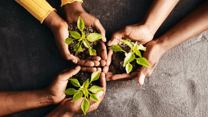 eMarketCommunit's tweet photo. Did you know that South Africa's farming economy is considered to be a dual one? This is because it offers well-developed commercial farming and also subsistence-based farming in more rural communities. People farm to feed their families, selling produce to make a small profit? https://t.co/Oojw9UIxdZ