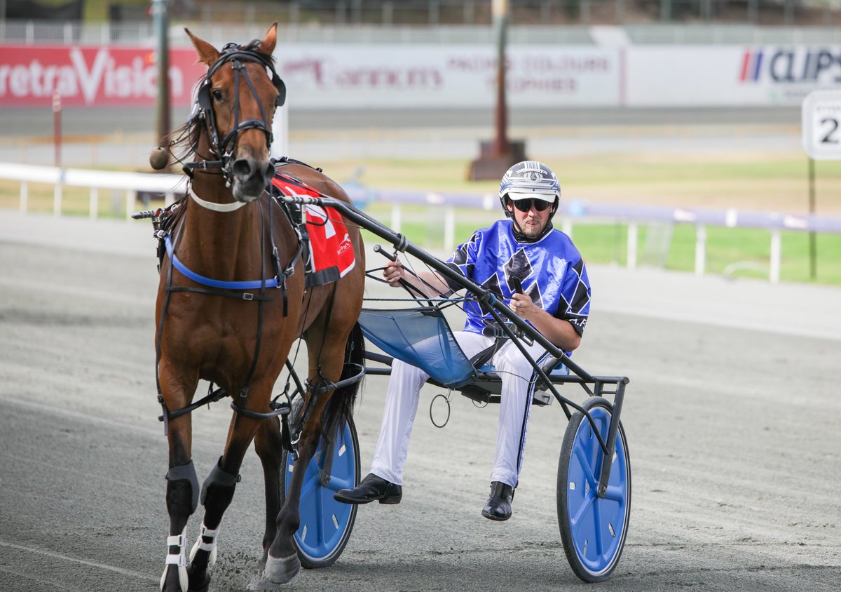RacingWAHarness's tweet photo. .@Aidendecampo holds on again to make it a winning race-to-race double with Secret Reaction in R2 at @GloucesterPark.
#WAHarness | 📸: @_HamiltonCC https://t.co/XDM456EsEA