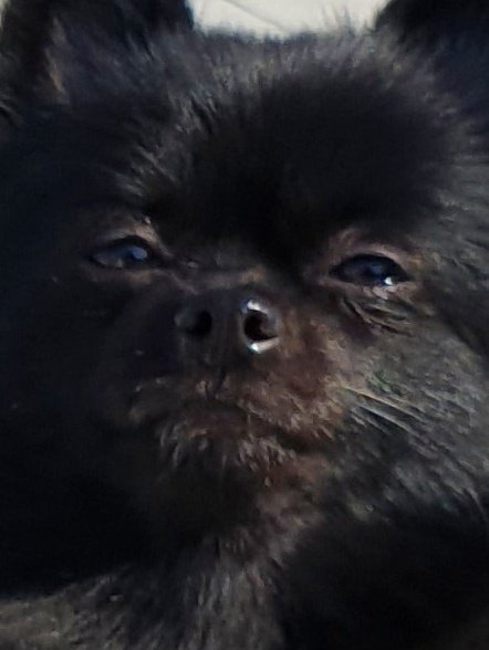 이히로 표정 너무 거만한거 아니냐
한낱 인간주제에 라고 말한거같은데 지금
ㅋㅋㅋㅋㅋㅋㅋㅋㅋㅋㅋㅋㅋㅋㅋ