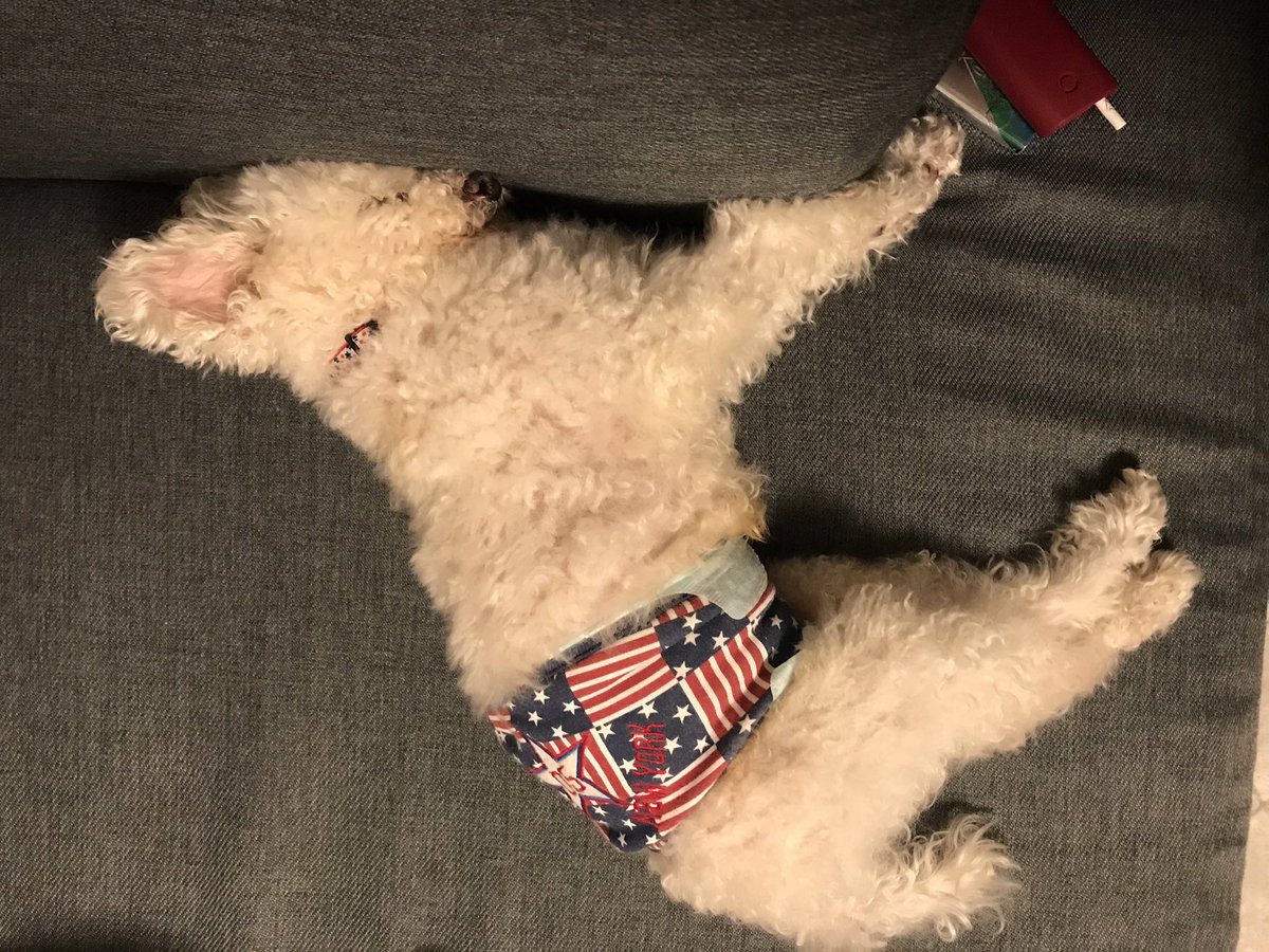 bakuleeen's tweet photo. 固ツイ用(*´°`*)

つくね キジトラ ♂ 2017.5月生まれ
もも ハチワレ ♂2019.9月生まれ

元野良猫と元保護猫´ω`*
つくねは片目怪我して視力弱いです。
ももは呼吸器系が弱いです。
だけど2匹とも元気|ω･)💕

たまにトイプーのレオン出現◡̈⃝︎
そんな、ねことねこといぬのツイ多めᐠ( ᐛ )ᐟ https://t.co/8dgrSx8ktv