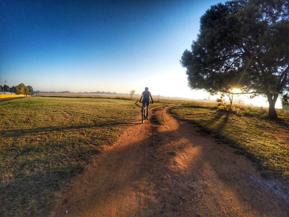 kim voller tweet media