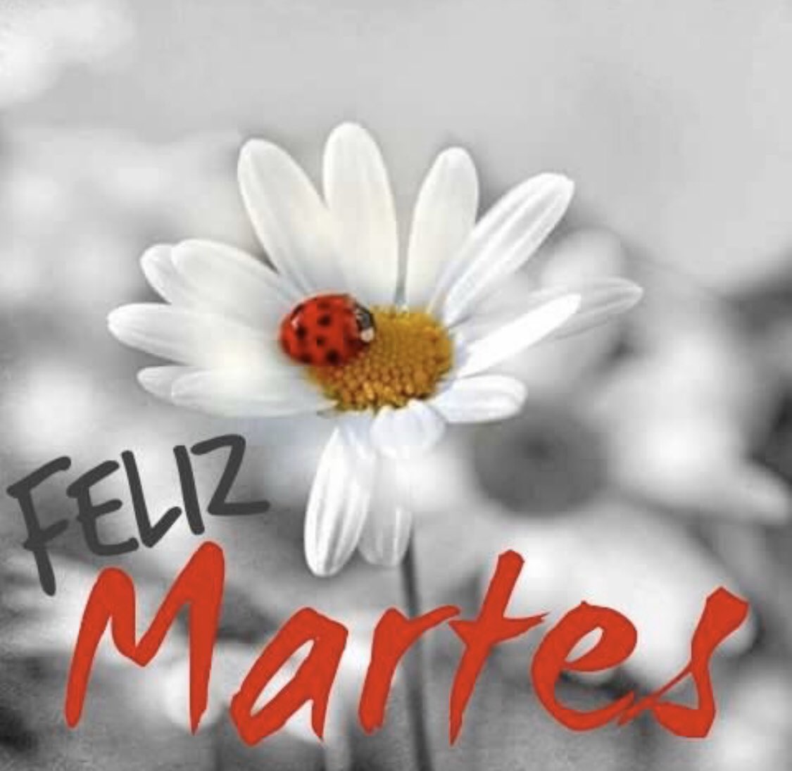 ILGasesoria's tweet photo. Buenos días!!! #martes #redcolaborativa #desayunosdenegocios https://t.co/5ZutdSjLcI