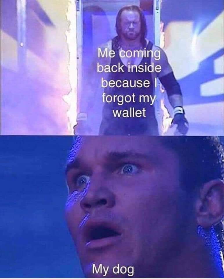 cinnamontoastk's tweet image. 