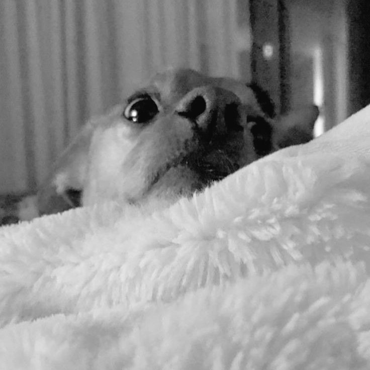 keepboca's tweet image. 