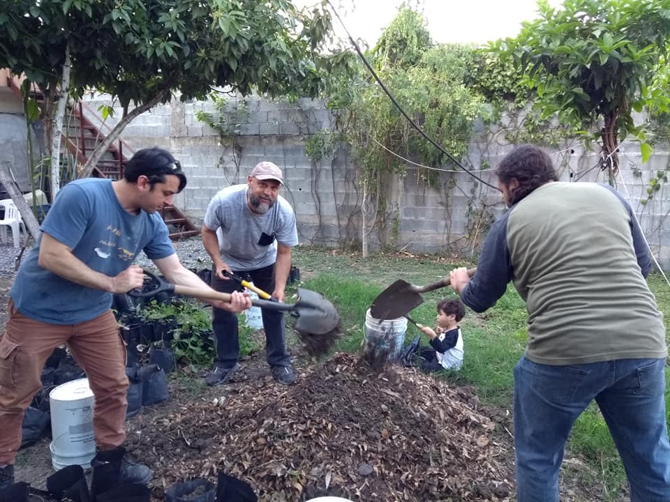RSTR_oficial's tweet photo. Se llevó a cabo el 1er #trasplante del año en nuestro #vivero, contando con tan sólo la participación de 4 integrantes se trasplantaron 82 #árboles en 3 hrs.
¡Súmate a las actividades y sé un verdadero #reforestador(a)! #ConLosNinosNo existen barreras, crea #ConcienciaEcológica. https://t.co/NXY2Lm6Kx1