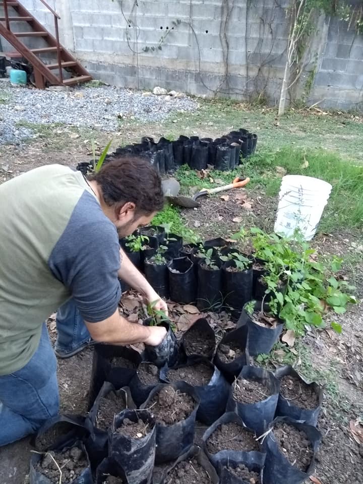 RSTR_oficial's tweet photo. Se llevó a cabo el 1er #trasplante del año en nuestro #vivero, contando con tan sólo la participación de 4 integrantes se trasplantaron 82 #árboles en 3 hrs.
¡Súmate a las actividades y sé un verdadero #reforestador(a)! #ConLosNinosNo existen barreras, crea #ConcienciaEcológica. https://t.co/NXY2Lm6Kx1