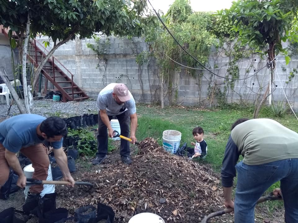 RSTR_oficial's tweet photo. Se llevó a cabo el 1er #trasplante del año en nuestro #vivero, contando con tan sólo la participación de 4 integrantes se trasplantaron 82 #árboles en 3 hrs.
¡Súmate a las actividades y sé un verdadero #reforestador(a)! #ConLosNinosNo existen barreras, crea #ConcienciaEcológica. https://t.co/gn38aK7prJ