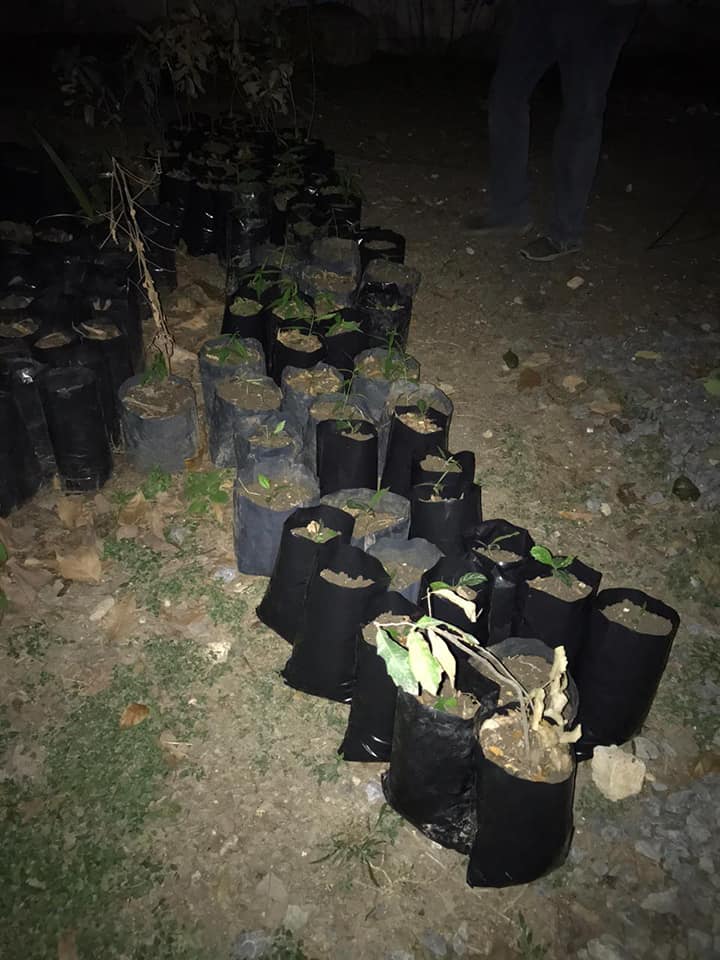 RSTR_oficial's tweet photo. Se llevó a cabo el 1er #trasplante del año en nuestro #vivero, contando con tan sólo la participación de 4 integrantes se trasplantaron 82 #árboles en 3 hrs.
¡Súmate a las actividades y sé un verdadero #reforestador(a)! #ConLosNinosNo existen barreras, crea #ConcienciaEcológica. https://t.co/gn38aK7prJ