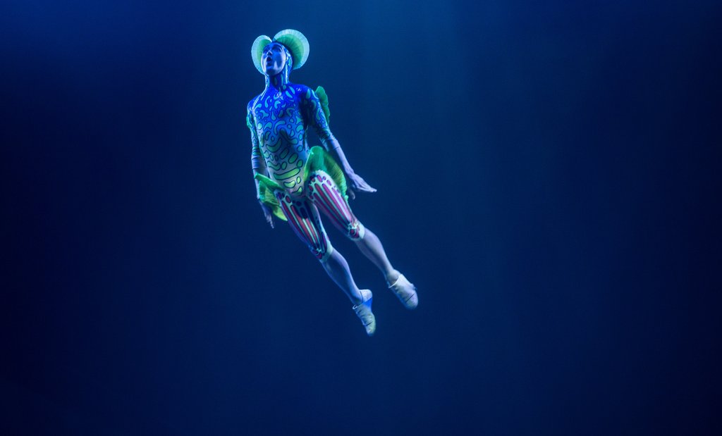 xsentertainment's tweet photo. KURIOS – Cabinet of Curiosities https://t.co/Bv25XHonFA https://t.co/0jXyBW5Em6