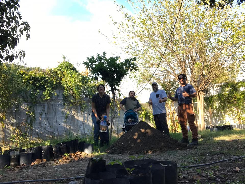 RSTR_oficial's tweet photo. Se llevó a cabo el 1er #trasplante del año en nuestro #vivero, contando con tan sólo la participación de 4 integrantes se trasplantaron 82 #árboles en 3 hrs.
¡Súmate a las actividades y sé un verdadero #reforestador(a)! #ConLosNinosNo existen barreras, crea #ConcienciaEcológica. https://t.co/dUzGfJXjrg