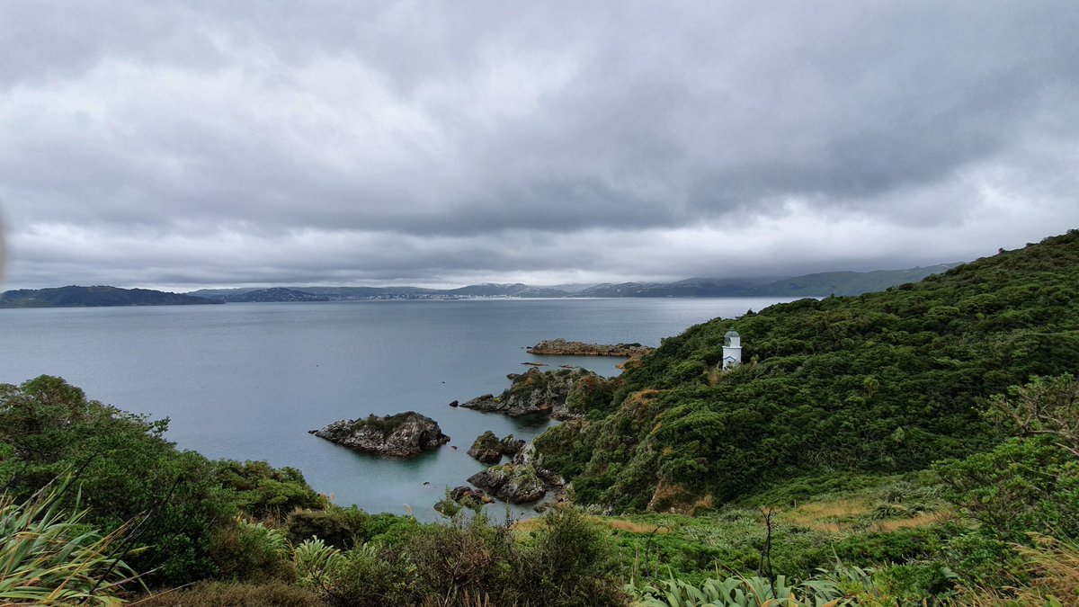 oldandfullofpie's tweet image. Awesome #volunteer day at Matiu/Somes Island, Wellington.  They let me loose with the chipper! Great fun and a way to give back to the community. #mercercares #mmcimpact #marshcares #oneMMC @lifeatmercer @MarshGlobal @MMC_Global