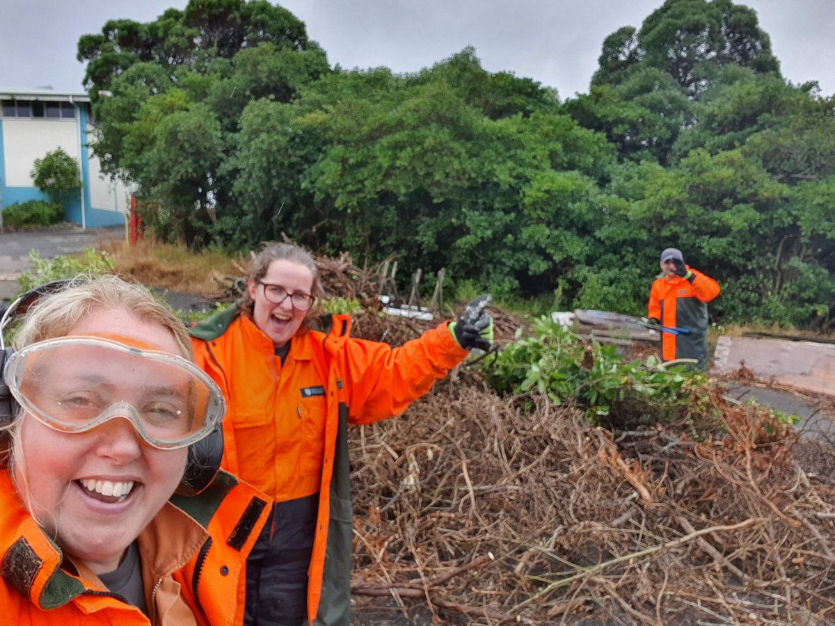 oldandfullofpie's tweet image. Awesome #volunteer day at Matiu/Somes Island, Wellington.  They let me loose with the chipper! Great fun and a way to give back to the community. #mercercares #mmcimpact #marshcares #oneMMC @lifeatmercer @MarshGlobal @MMC_Global