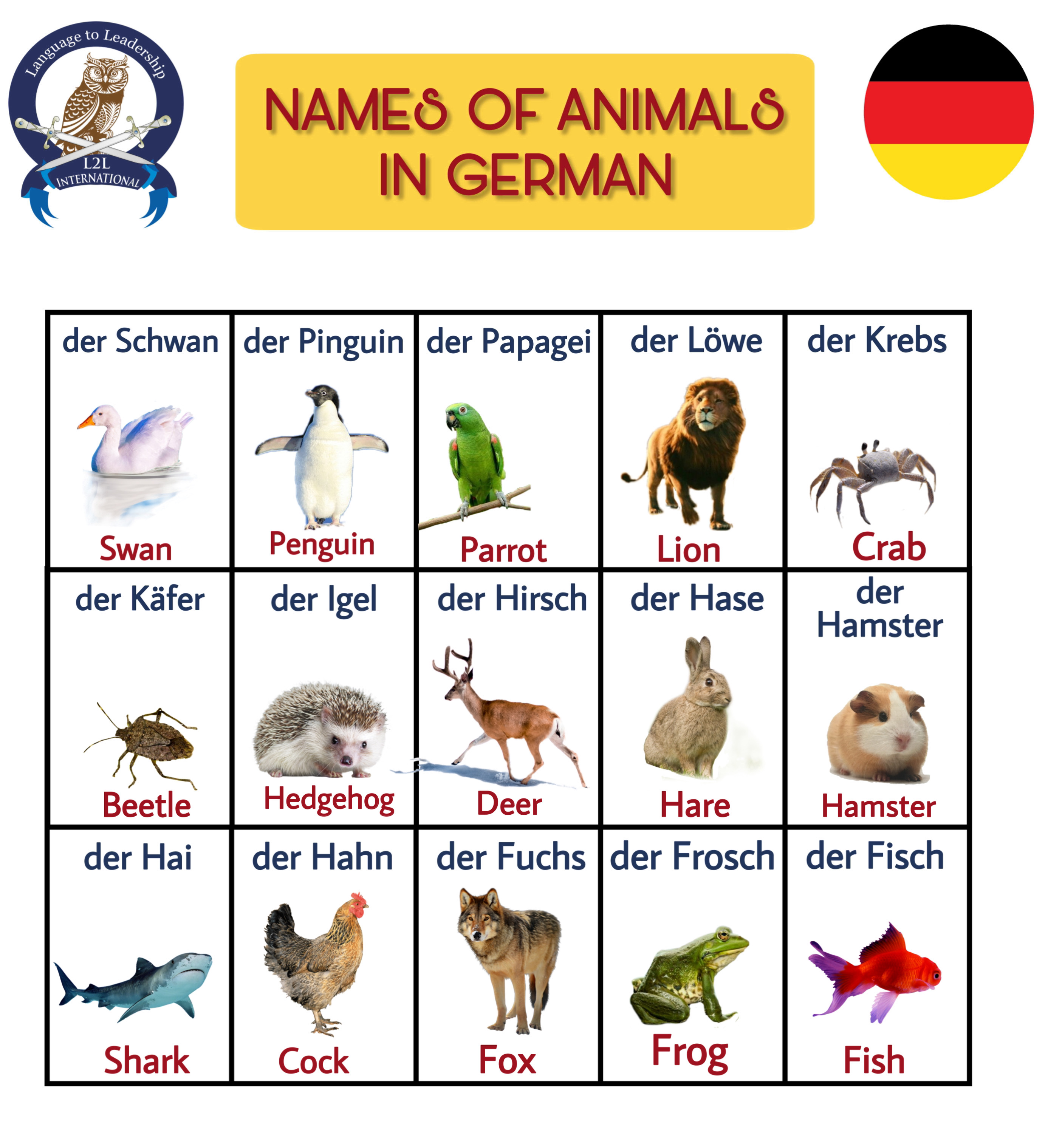 L2linternational On Twitter Names Of Animals In German Derschwan Derpinguin Derpapagei Germanwordoftheday Learngerman Germanlanguage German Wortschatz Deutschlernen Deutschesprache Germanwords Deutschkurs Germany Learn Foreign